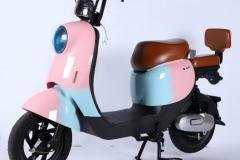 WPS图片9